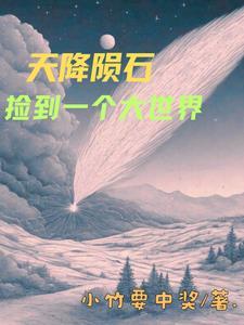 无敌九皇子全本TXT免费